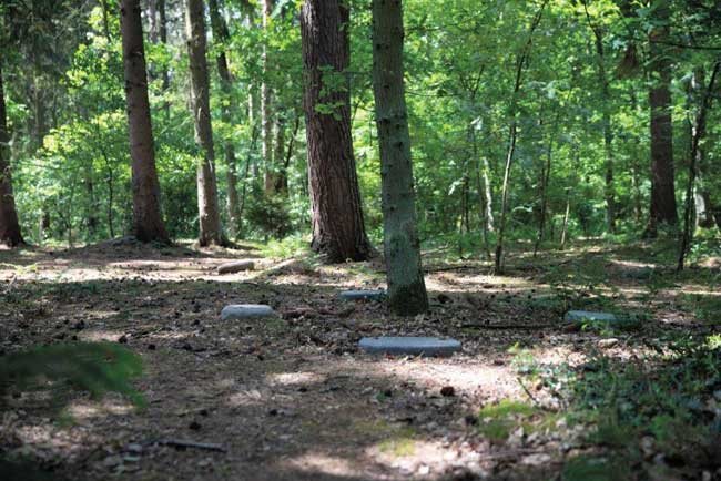 Waldfriedhof