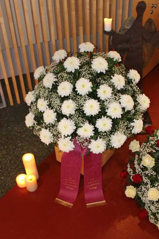 Weiße Gerbera, Schleierkraut