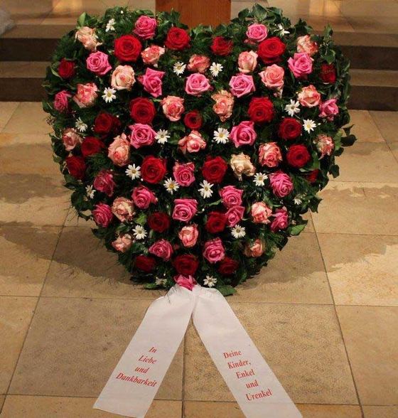 Verschiedene Farben Rosen, Margeriten