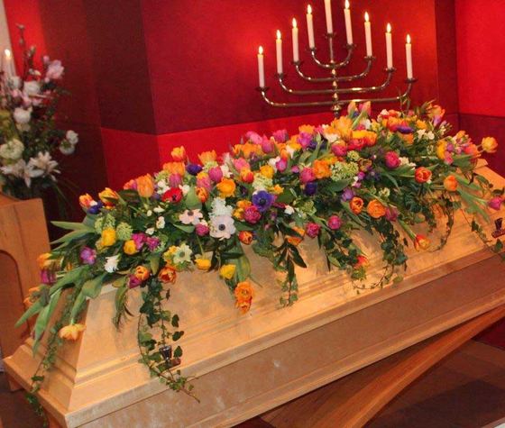 Bunte Blumenpracht Frühling